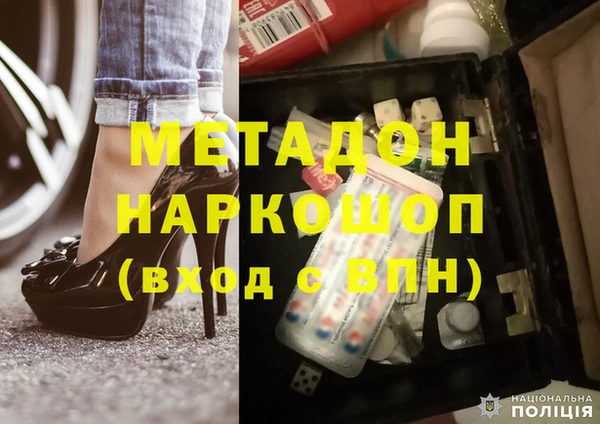 прущие грибы Магас