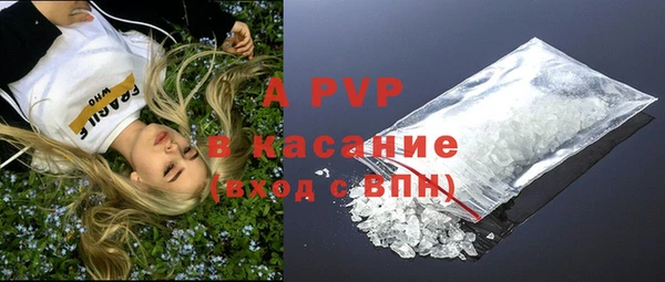 прущие грибы Магас