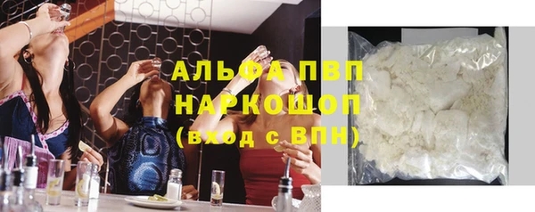 прущие грибы Магас