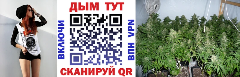 Купить  Невель  Канабис MAZAR 